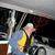 Doug Brown's profile image