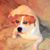 Vicki L. Kammerer's profile image