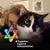 Nancy Bock's profile image
