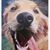 JoLynn Nelson Burden's profile image
