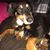 TroyandChristy Clayton's profile image