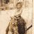 Lorraine A Wright's profile image