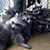 Jenn Kelly-Antonino's profile image