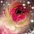 Patti Serres's profile image