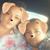 Jose Luis Alvarez Armenta's profile image