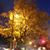 Yvette Wilks's profile image