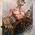 David Ottaviani's profile image