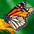 Phillip David Diamond's profile image