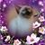 Pam Eudy's profile image