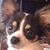 Sandra Walker's profile image