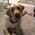 Jennifer L. Jones's profile image