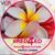 Donna Deer Carroll's profile image