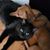 Lisa Anne Gradie Comley's profile image