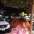 Laura Marie's profile image
