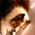 Kallen Hamel's profile image