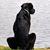Michelle Dorwart Waskiewicz's profile image