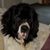 Pat Williams's profile image