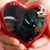 Nancy Lentz's profile image