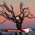 Kari B Gordon Geck's profile image