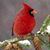 Laurie Smelser's profile image