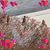 Carol Zink's profile image