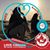 Sylvie Morin's profile image