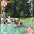 Debbie Briggs Abbe's profile image