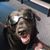 Tracy Gray Tippett's profile image