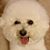 Mary Sahulga Jones's profile image