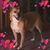 Wendi Jones's profile image