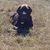 Carla Diamond Conroy's profile image