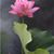 Sabrina Xie's profile image
