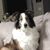 Denise Miller's profile image