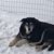 Melissa S. Thill's profile image