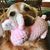 Kristi Miller Robinson's profile image