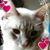 Virginia Wenzel's profile image