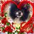 Brenda Roehrich's profile image