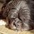 Peter Krones's profile image