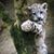 Christopher E. Williams's profile image
