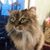 Diane Matusevich's profile image