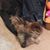 Carol A Naddy's profile image