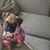 Darlene Reid's profile image