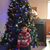 Jeshua Jarrettk Chin's profile image