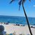 Debra Idell Pearlman's profile image