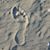 Diane Ecker's profile image