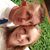 Ca Sandra Dickens's profile image
