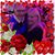 Karen Castlevetro's profile image