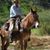 Darrell Biederman's profile image