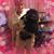 Millie Oeser's profile image