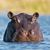 Tennille Rivers's profile image